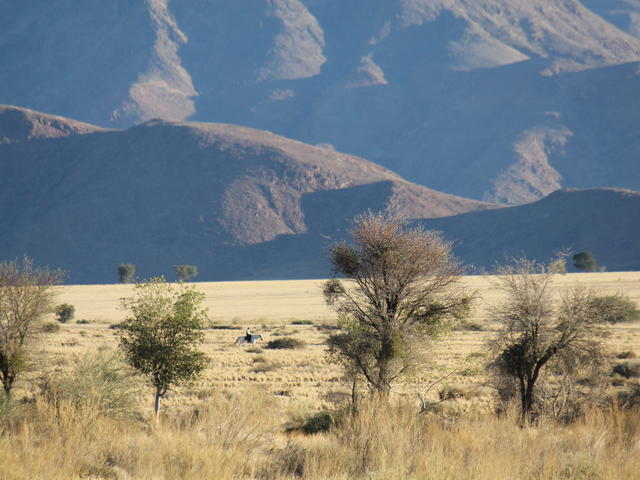 SOSSUSVLEI EXKURSION SUNDOWNER DRIVE