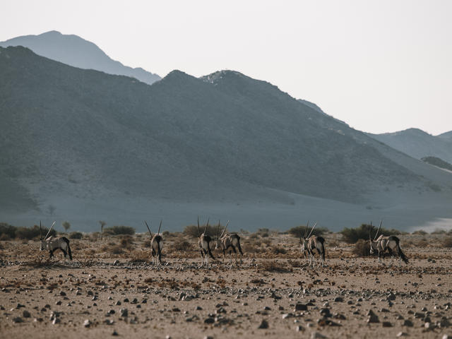 NAMIB MOUNTAIN TRAIL
