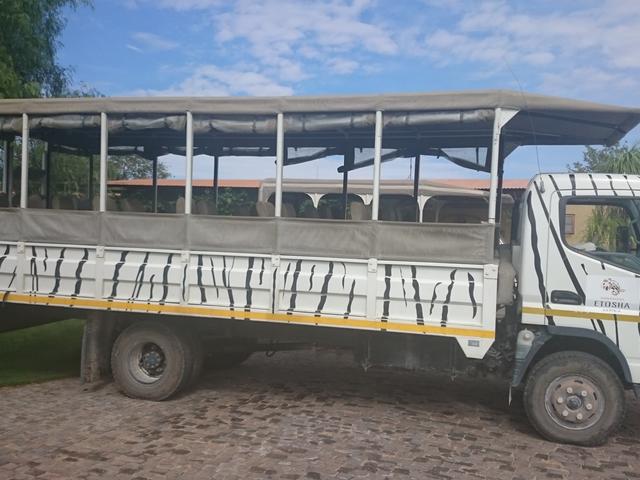 Ganztagstour in den Etosha Nationalpark