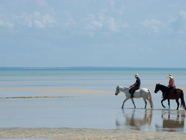 Horse Riding Safaris
