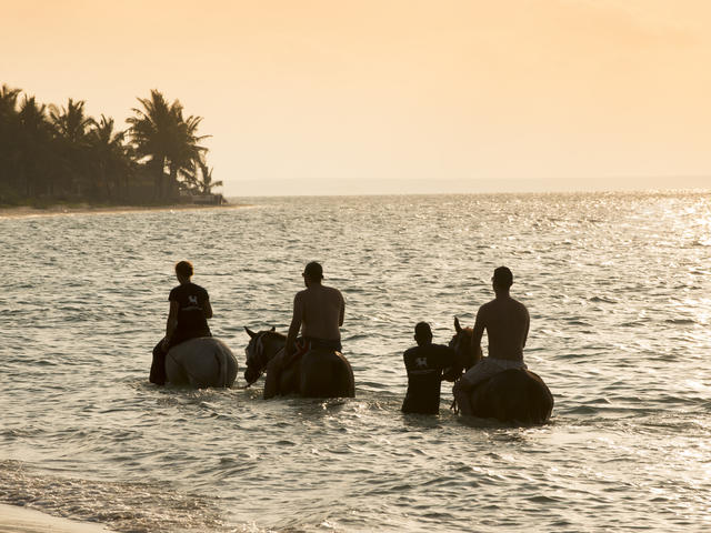 Swimming with Horses (Additional cost)