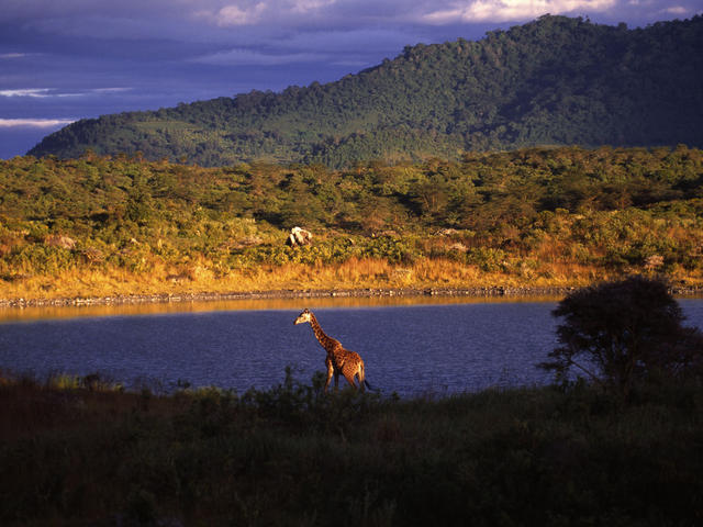 Day trips to Arusha National Park