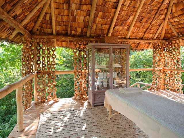 Healing Earth Wellness Treatments (Additional Cost)