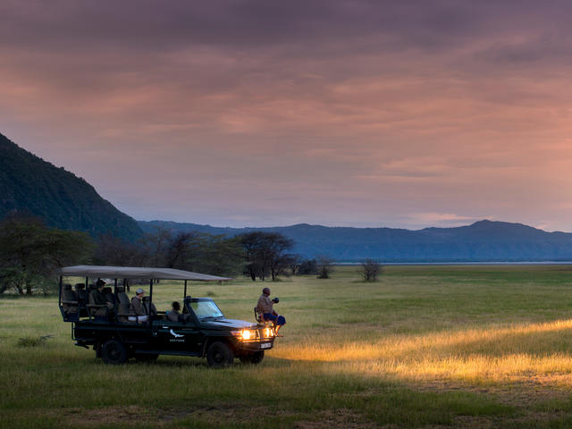 Night Game Drives (Additional Cost)