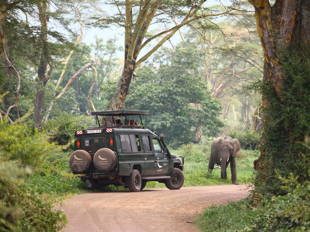 Game Drives (Included)