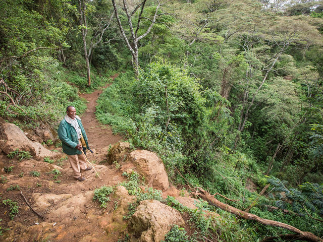 Walking Safaris - Farm to Ngorongoro Crater Rim Hike