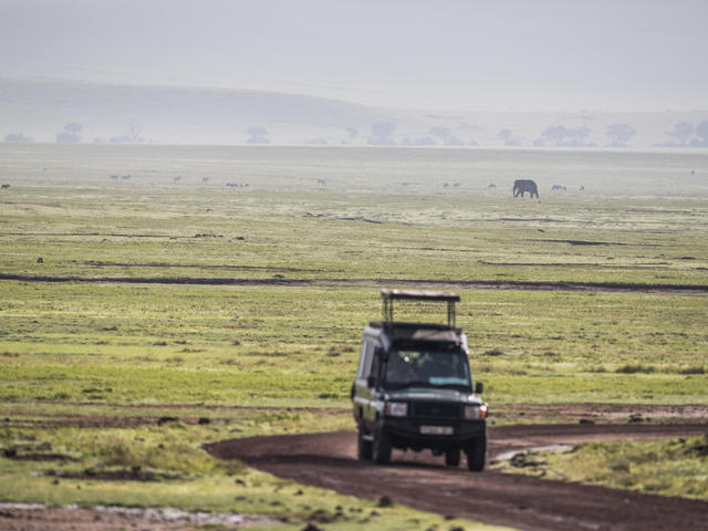 Safari - Ngorongoro Crater