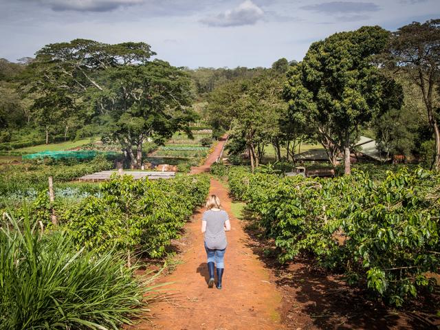 Farm Walks - Garden Walk
