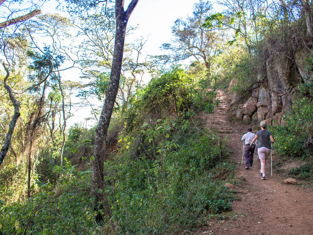 Walking Safaris - Waterfall/Elephant Caves Walk