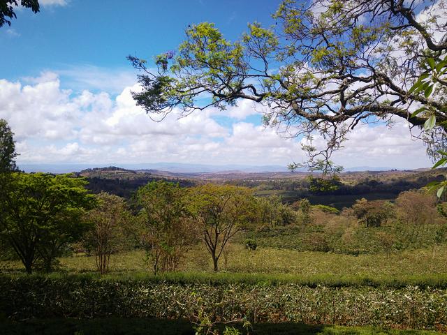 Farm Walks - Ngorongoro Forest Walk
