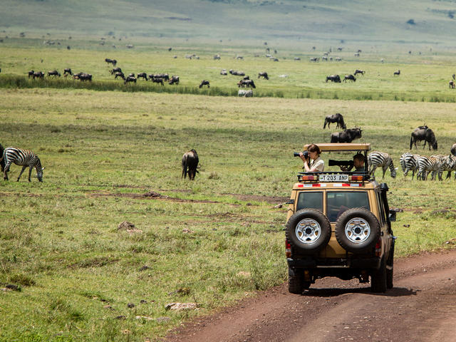 One day Ngorongoro Crater or Lake Manyara Safari