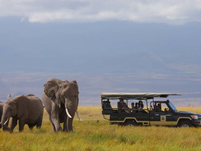 Game Drives