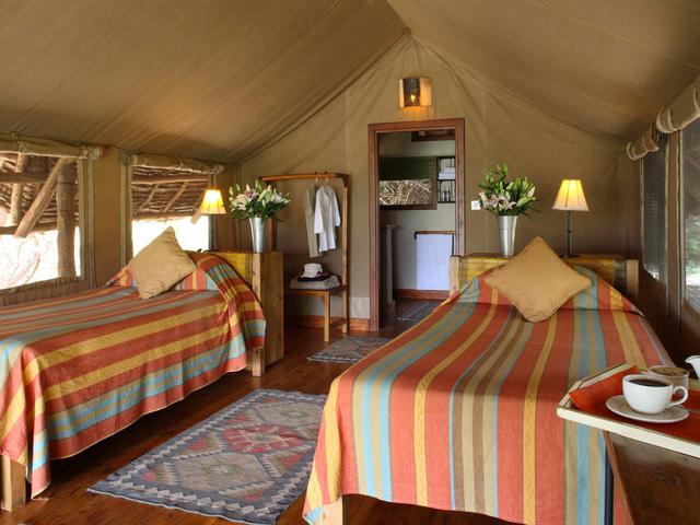 Safari Tents