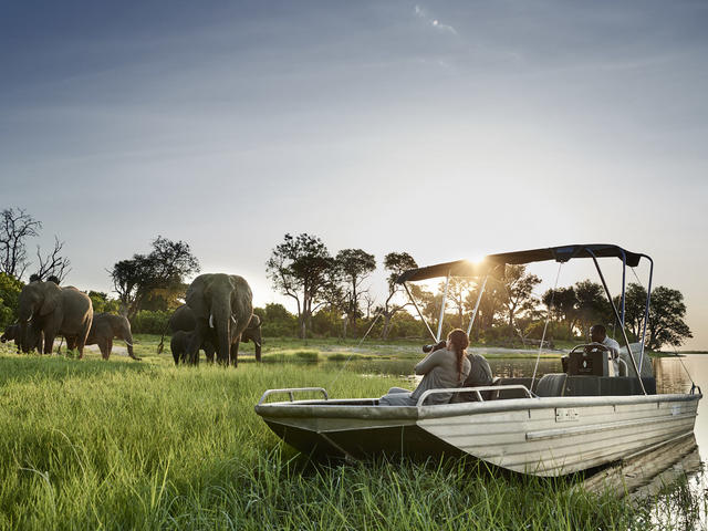 Photographic Safari Cruise