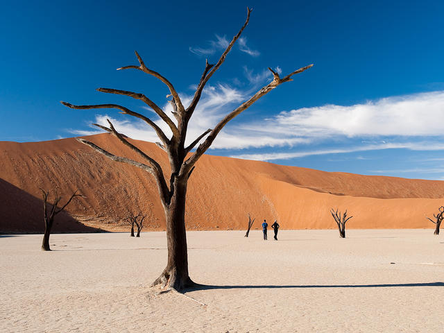 Kulala Desert Lodge - Visit Sossusvlei and Dead Vlei