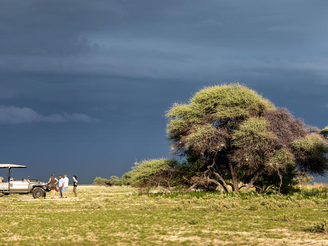 Kalahari Plains Camp - Game Drives