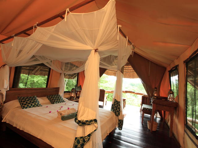 Tents