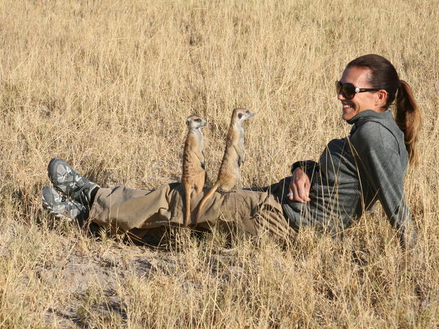 Walking with Meerkats at Planet Baobab