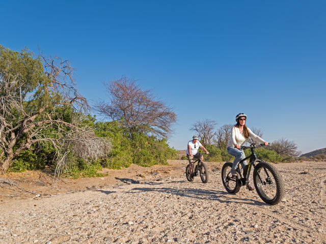e-Fat Biking