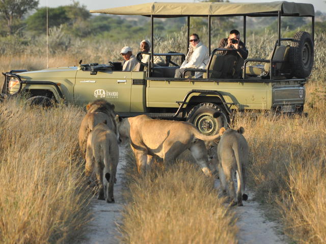 Game Drives - Day