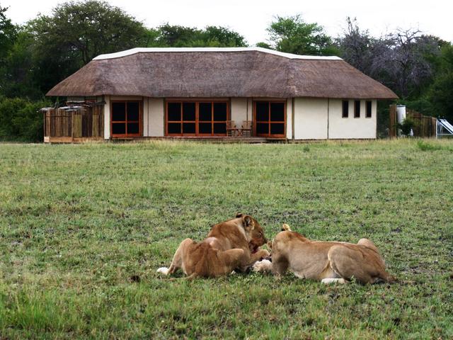 San Bushman Cultural Walks
