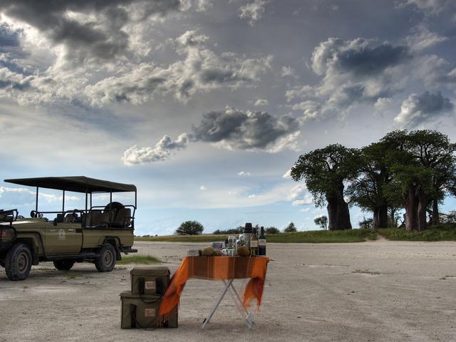 Game Drives - Day