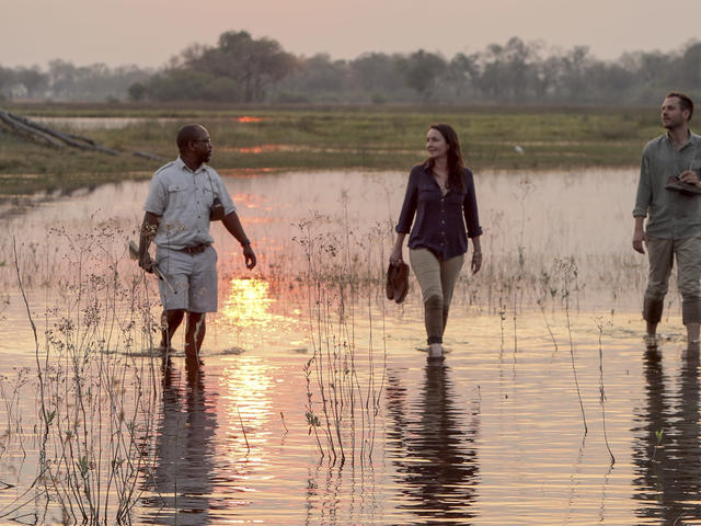 Specialist Walking Safari