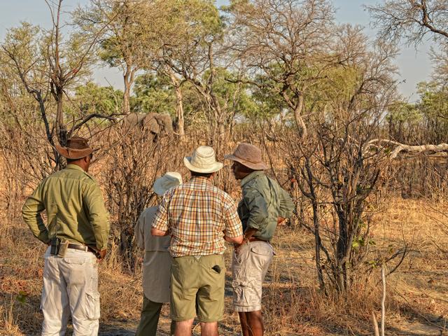 Wander-Safaris im Somalisa Camp