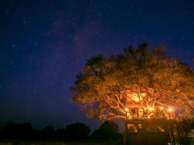 The Dove's Nest Treehouse