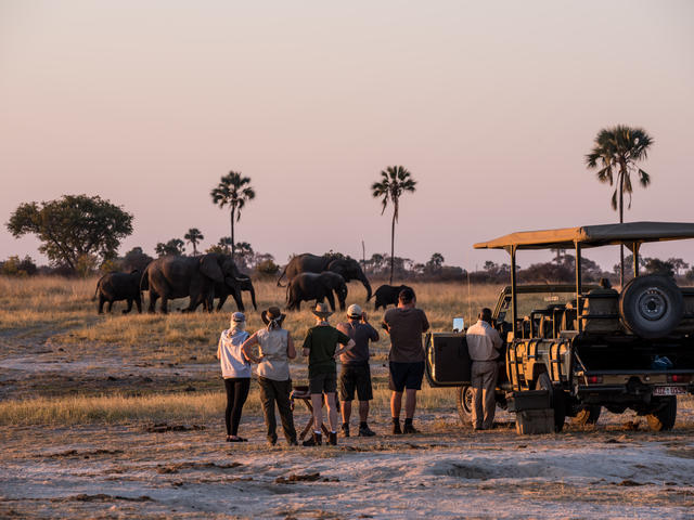 Day and Night Game Drives