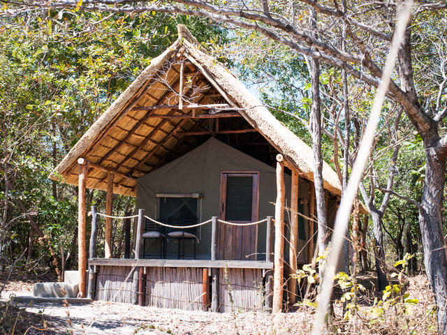 Safari tent - twin
