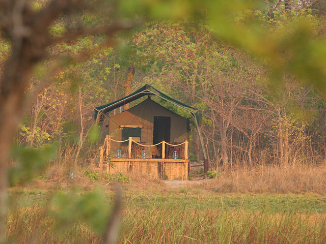 Safari tent - double