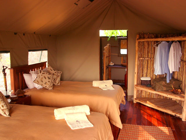 Safari tent - twin