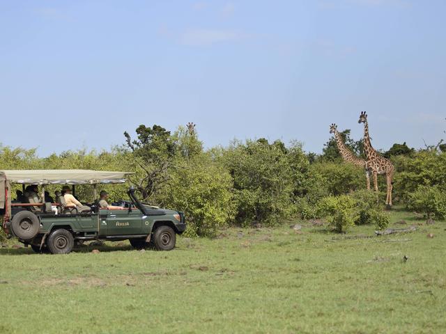 Game drives