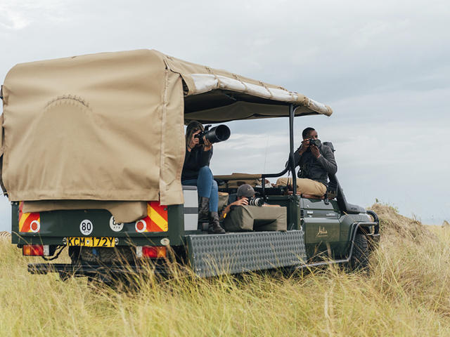 Photographic safaris