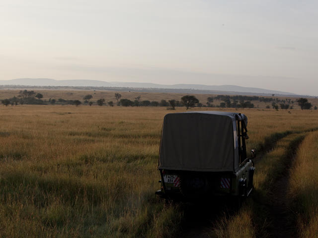 Game Drives