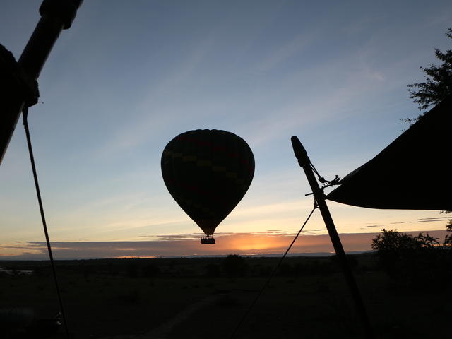 Balloon Safari