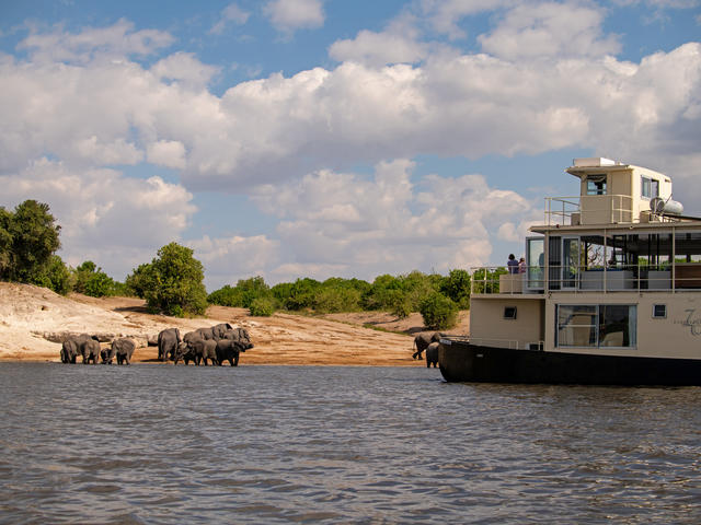 Wasserbasierte Safari