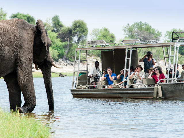 Wasserbasierte Safari