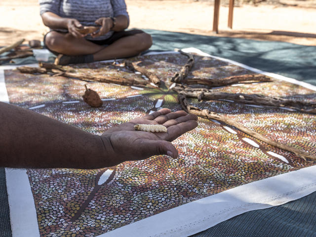 Karrke Indigenous Cultural Tour