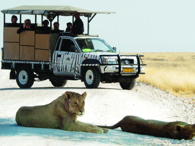 Halbtagstour in den Etosha Nationalpark