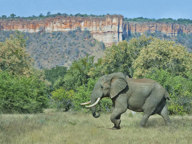 Chilojo Cliffs Safari