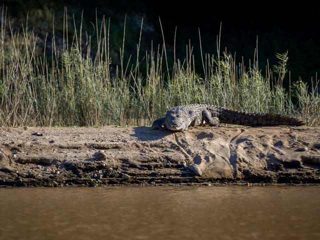 Sanyati Gorge Trips