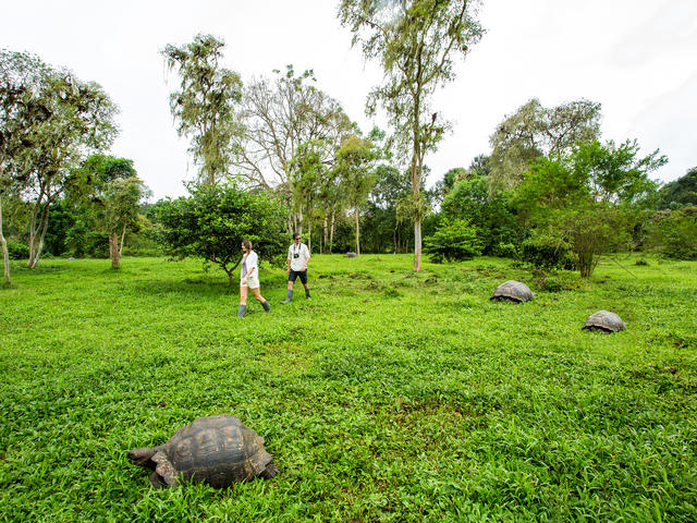 Activities from the Finch Bay Galapagos Hotel