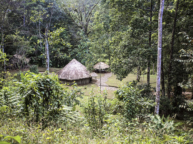 Cabecar Indigenous Reserve Hike