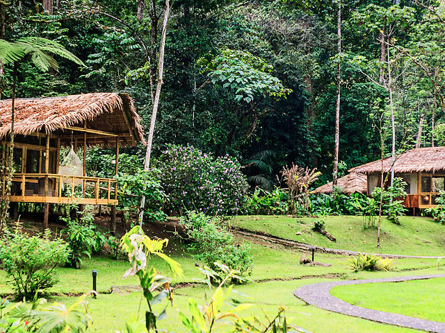Garden Suite