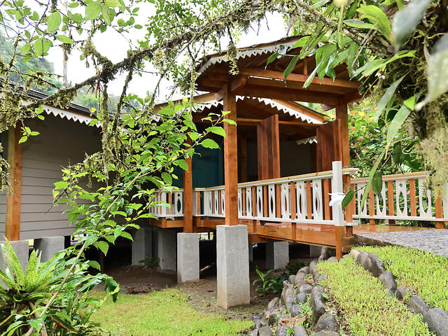 Linda Vista Oropendula