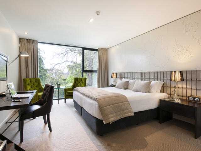 Premium Executive Room