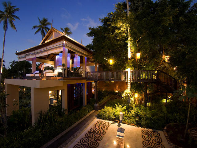 The Tree House