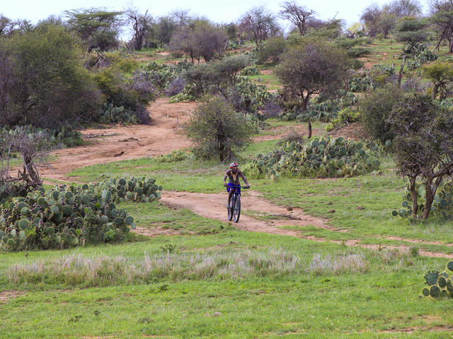 Mountain Biking
